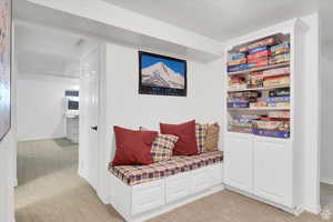 Living area featuring light colored carpet and baseboards