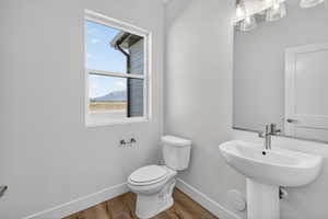 Bathroom featuring wood finished floors and a mountain view