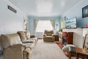 Living area with carpet, ornamental molding, and a fireplace with flush hearth
