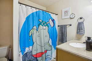 Bathroom featuring a textured wall, curtained shower, and vanity