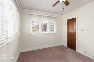 Carpeted empty room featuring ornamental molding and a ceiling fan