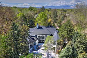 Bird's eye view of a mountainous background