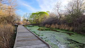 Dock with a lawn