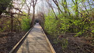 View of property's community featuring a view of trees