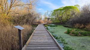 View of community