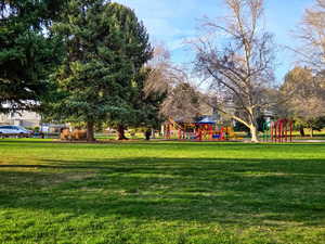 View of green lawn