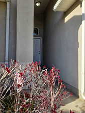 View of exterior entry with stucco siding