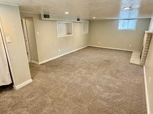 Downstairs Rec Room/Bedroom #3