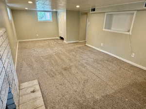 Downstairs Rec Room/Bedroom #3