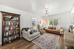 Living room featuring dark wood-type flooring and healthy amount of natural light