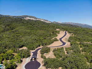 Drone / aerial view of a forest and a mountainous background
