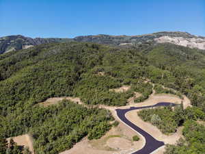 Bird's eye view of a mountainous background and a heavily wooded area