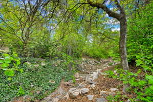 Backyard stream bed