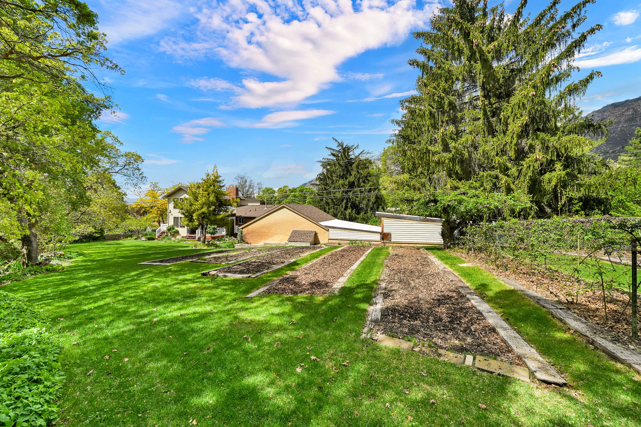 View of green lawn