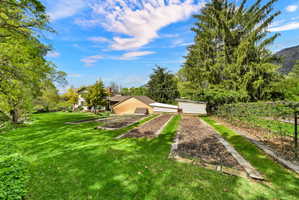View of green lawn