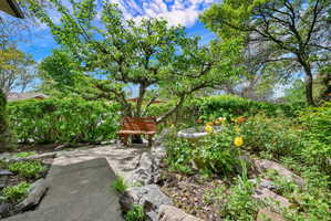 View of bench under apple tree