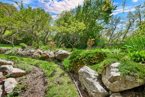 View of yard with view of wooded area