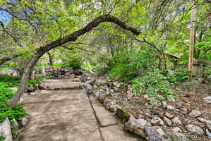 Upstream view of backyard patio