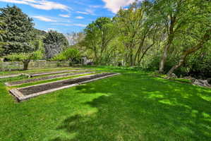 View of yard with a garden