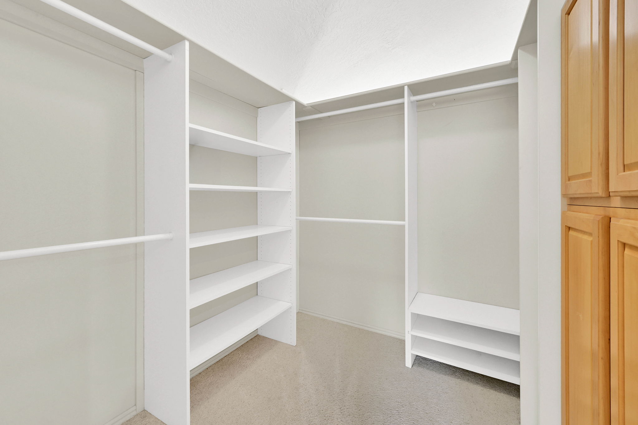 Walk in closet with light colored carpet