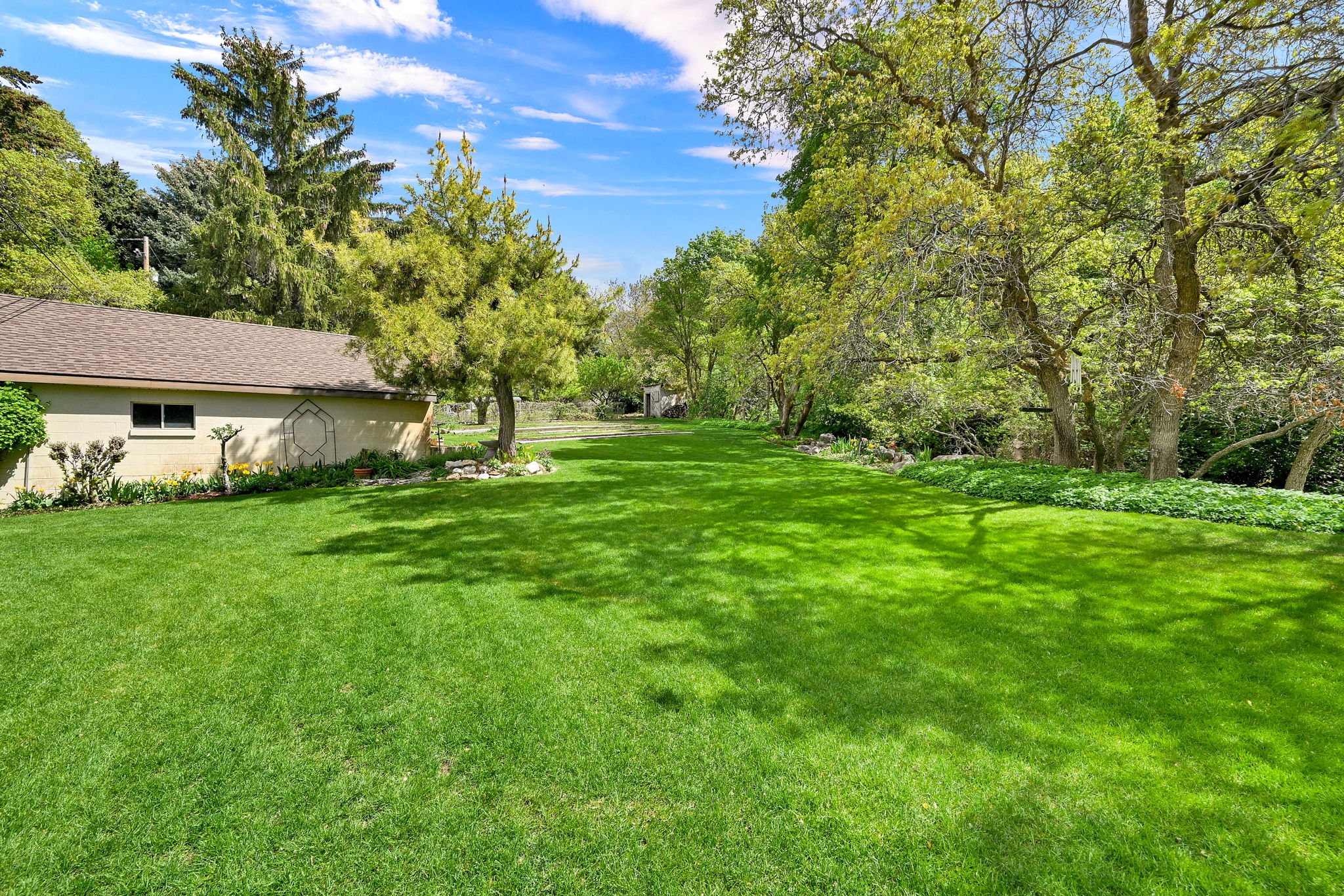 View of grassy yard featuring view of wooded area