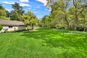 View of grassy yard featuring view of wooded area