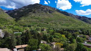Mountain view featuring a heavily wooded area