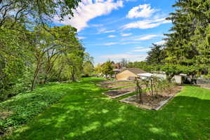 View of green lawn with view of wooded area