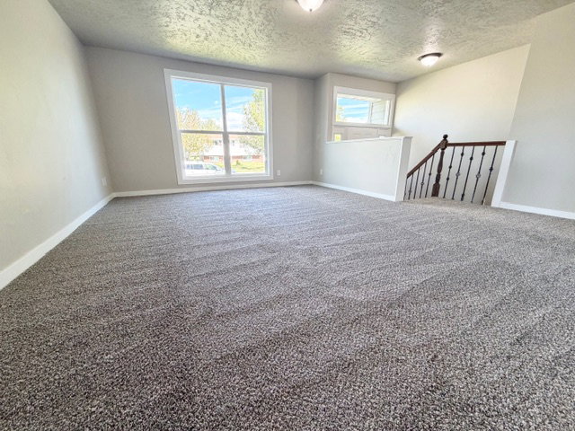 New carpet and paint
