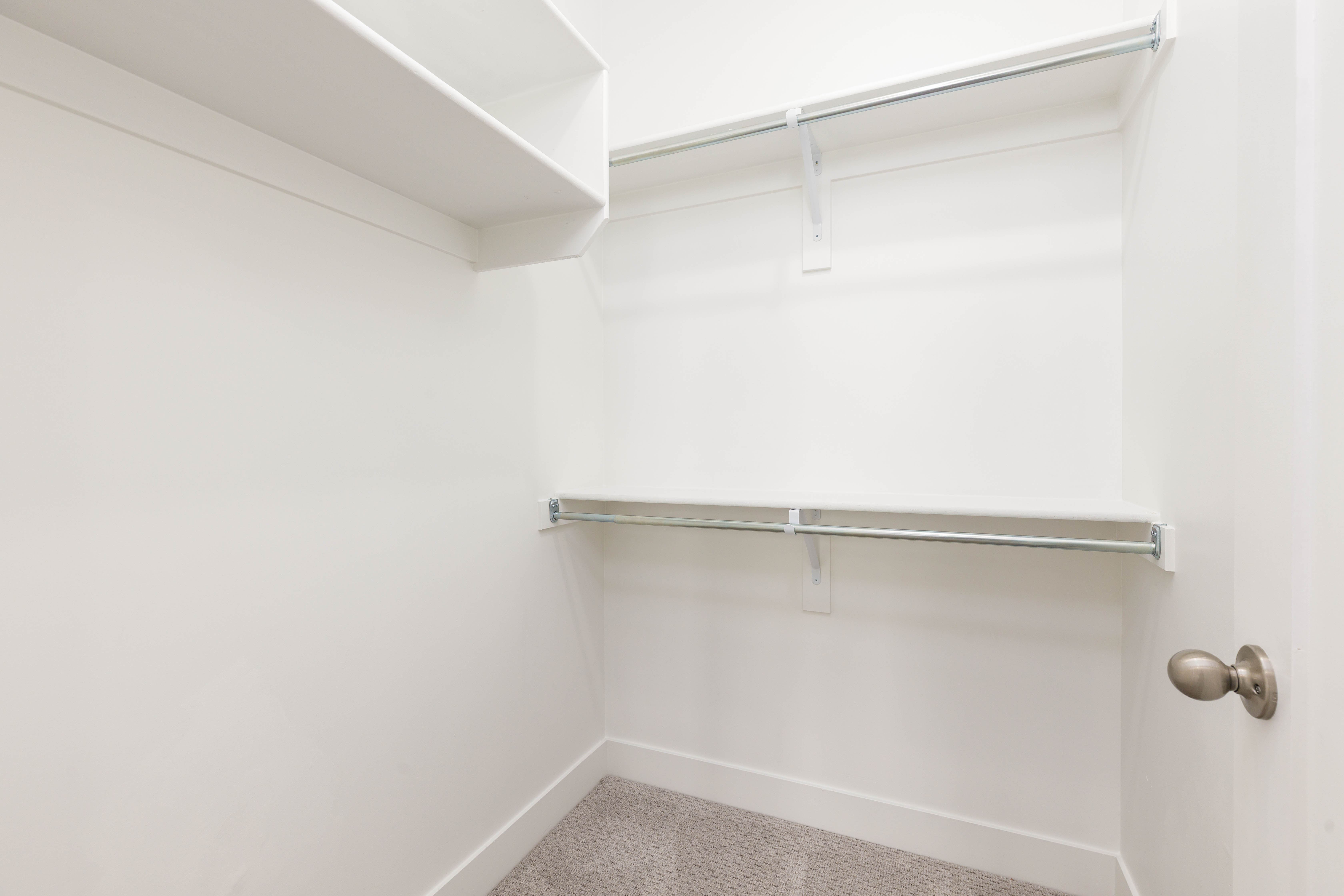 Walk in closet featuring carpet