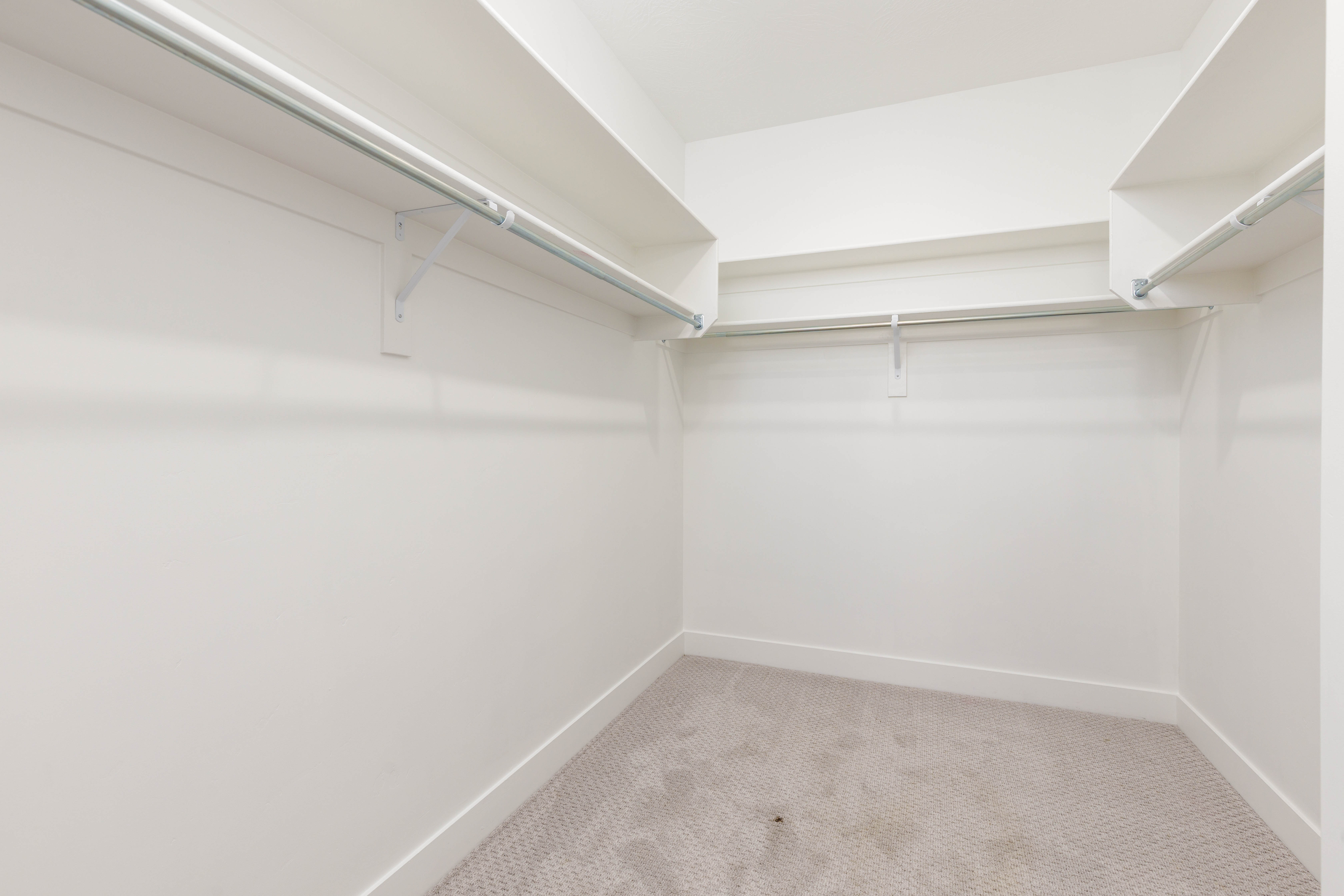 Walk in closet featuring light colored carpet
