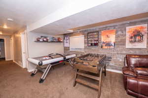 Rec room featuring carpet floors and a textured ceiling