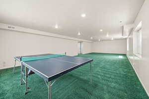 Large Family Room in Daylight/Walkout Lower Level