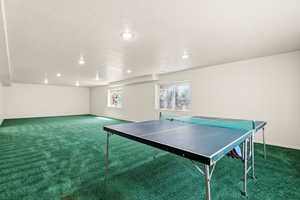 Large Family Room in Daylight/Walkout Lower Level