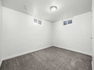 Basement bedroom