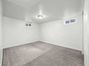 Basement bedroom