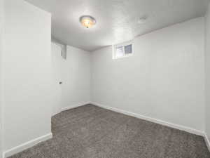 Basement bedroom
