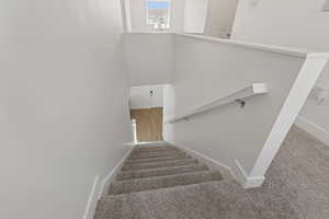 Stairway with light colored carpet and a high ceiling