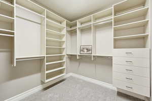Walk in closet featuring light colored carpet