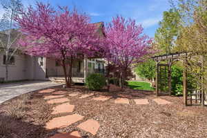 View of yard featuring covered porch and driveway