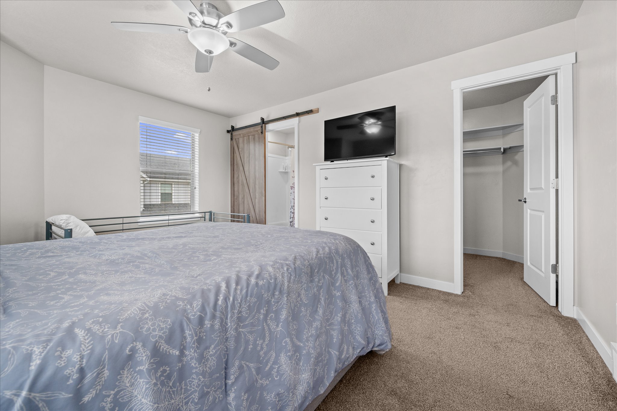 Bedroom with a walk in closet, a barn door, carpet floors, and ceiling fan