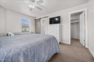 Bedroom with a walk in closet, a barn door, carpet floors, and ceiling fan