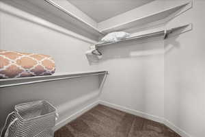 Walk in closet with dark carpet