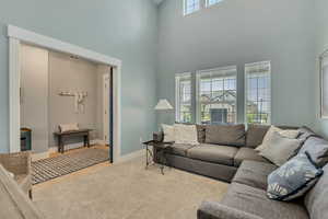 Carpeted living room with baseboards and a high ceiling