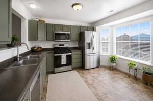 Kitchen featuring green cabinetry, stainless steel appliances, a double basin sink, ample countertop space, and a bay window