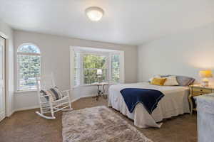 Bedroom with carpet floors and multiple windows