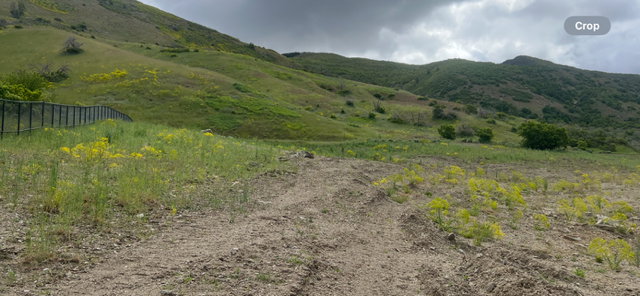 View of mountain background with rural landscape