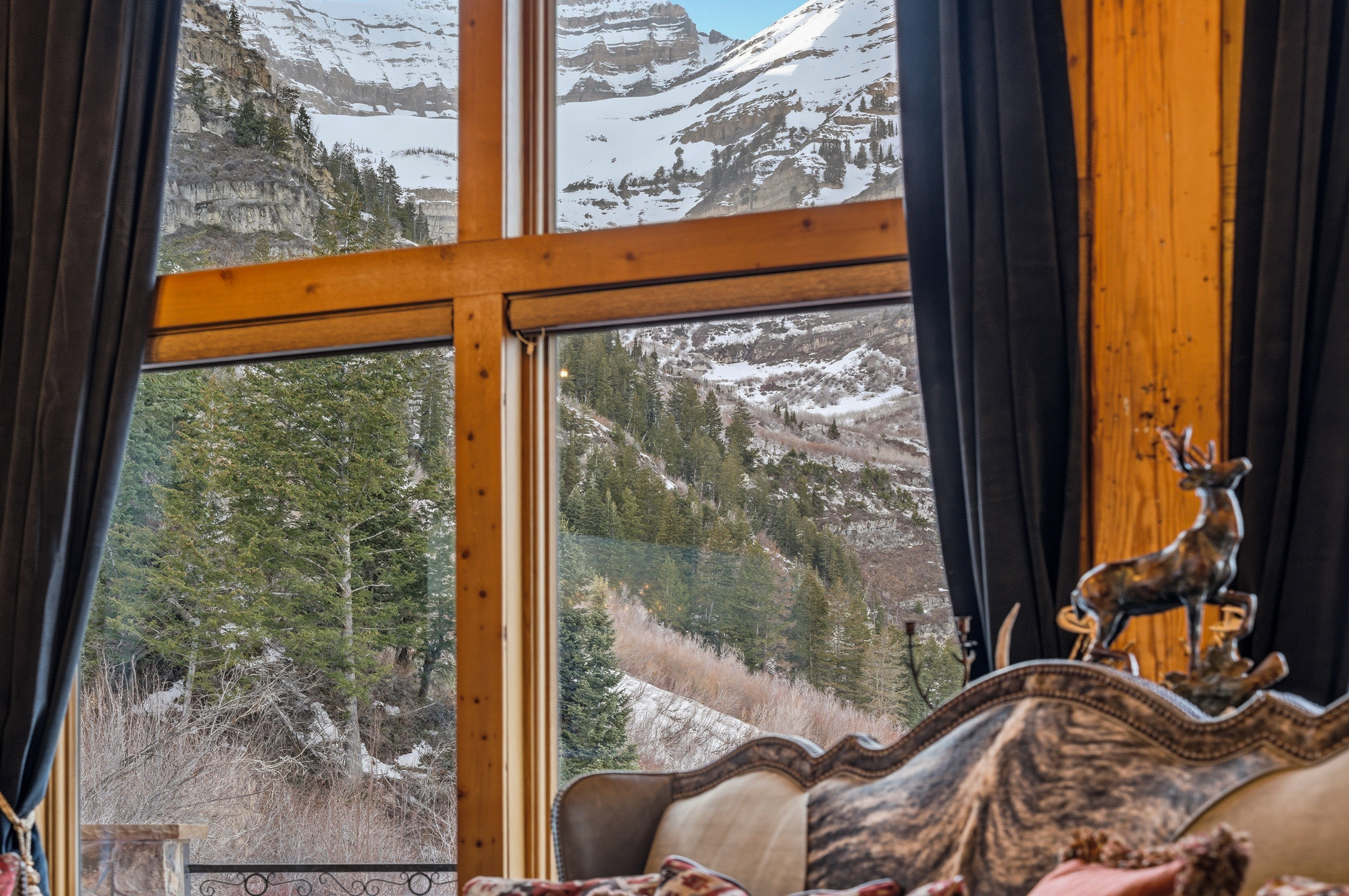 Detailed view of a mountain backdrop and a tree filled landscape