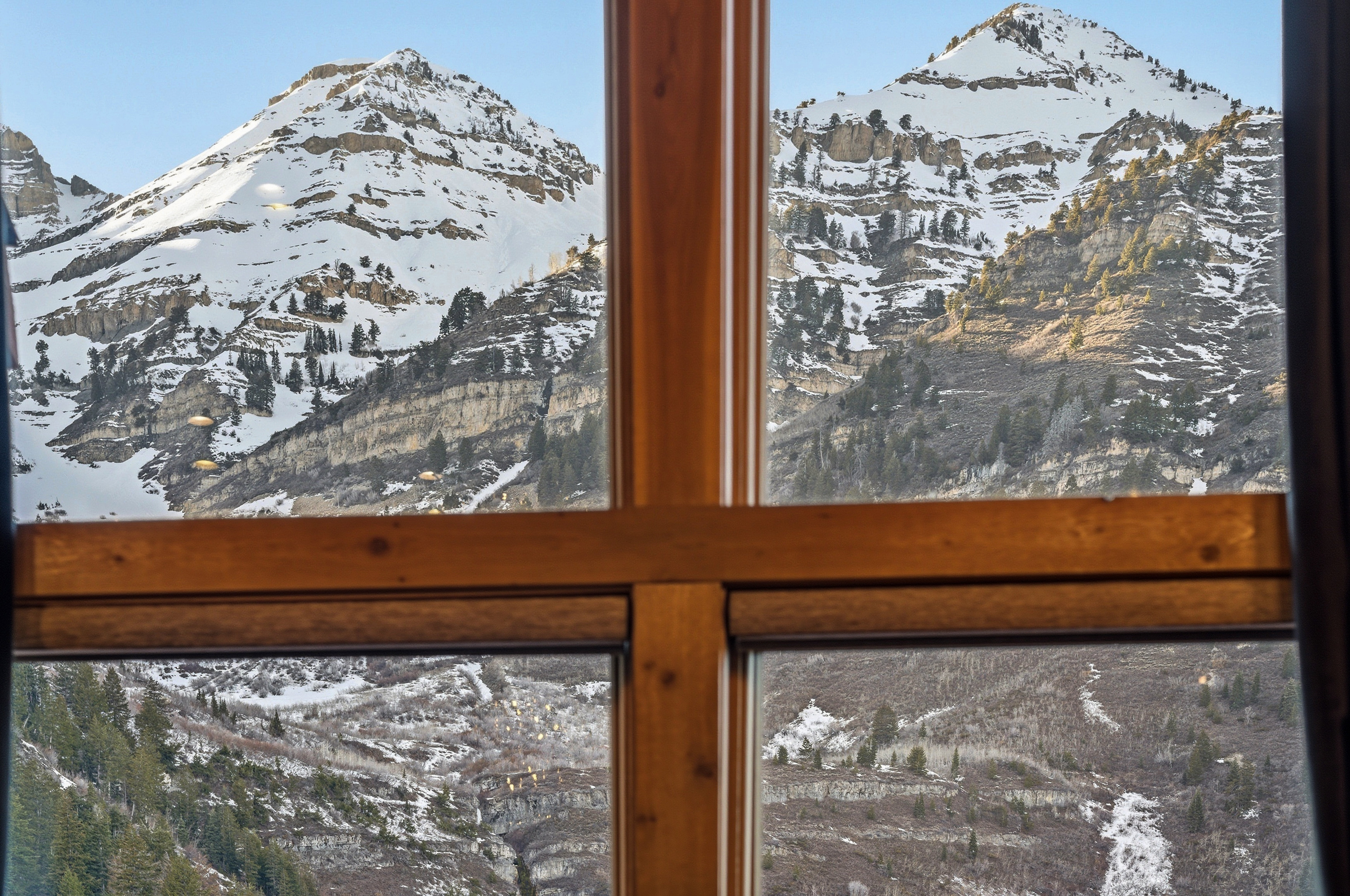 Detailed view of a mountainous background