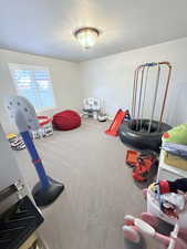 Recreation room with carpet flooring and a textured ceiling